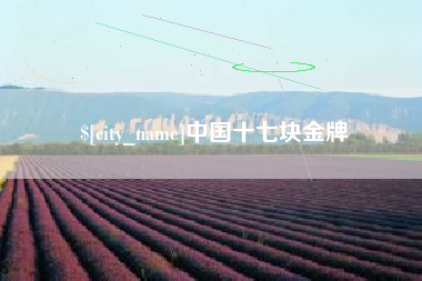 无锡中国十七块金牌