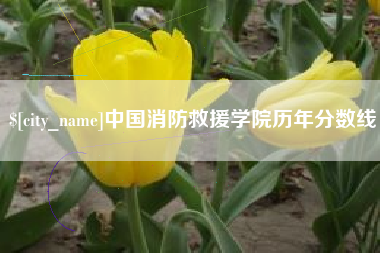 无锡中国消防救援学院历年分数线