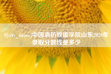 无锡中国消防救援学院山东2020年录取分数线是多少