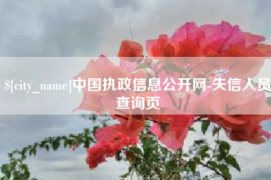 无锡中国执政信息公开网-失信人员查询页