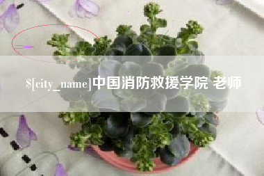 无锡中国消防救援学院 老师