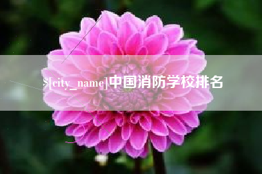 无锡中国消防学校排名