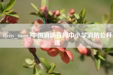 无锡中国消防官网中小学消防公开课