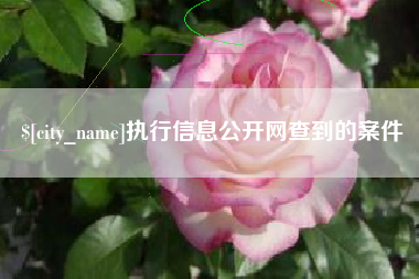无锡执行信息公开网查到的案件