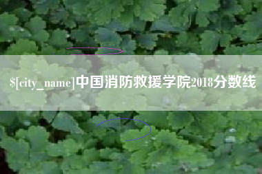 无锡中国消防救援学院2018分数线