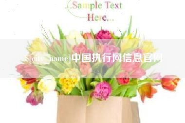 无锡中国执行网信息官网