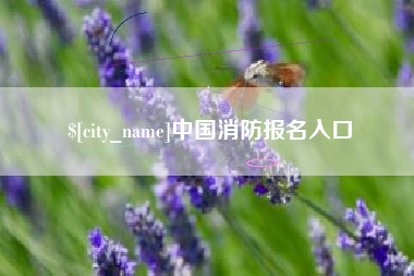 无锡中国消防报名入口