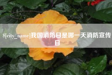 无锡我国消防日是哪一天消防宣传日