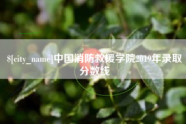 无锡中国消防救援学院2019年录取分数线