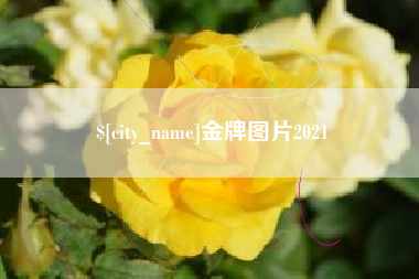 无锡金牌图片2021
