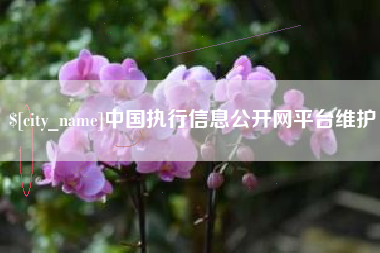 无锡中国执行信息公开网平台维护