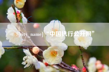 无锡“中国执行公开网”