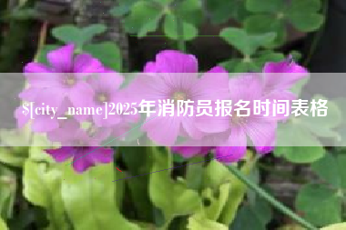无锡2025年消防员报名时间表格