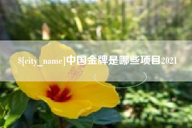 无锡中国金牌是哪些项目2021