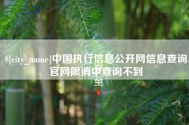 无锡中国执行信息公开网信息查询官网限消中查询不到
