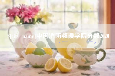 无锡中国消防救援学院分数2020