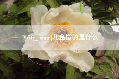 无锡九金指的是什么