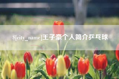 无锡王子豪个人简介乒乓球