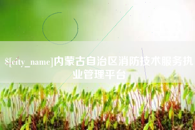 无锡内蒙古自治区消防技术服务执业管理平台