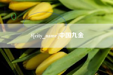 无锡中国九金