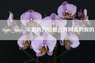 无锡中国执行信息公开网真的假的