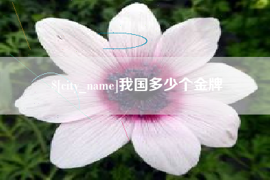 无锡我国多少个金牌