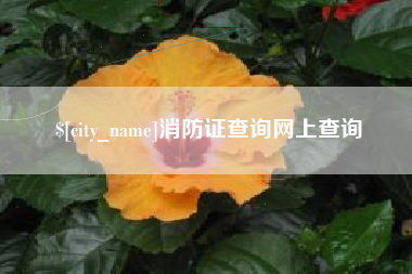 无锡消防证查询网上查询