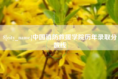 无锡中国消防救援学院历年录取分数线