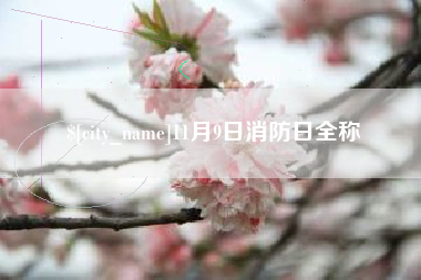 无锡11月9日消防日全称