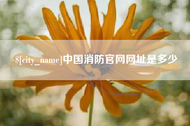 无锡中国消防官网网址是多少