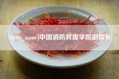无锡中国消防救援学院副院长