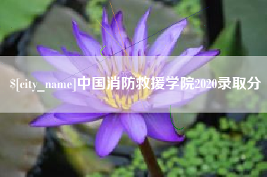 无锡中国消防救援学院2020录取分