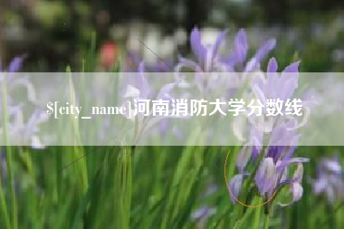 无锡河南消防大学分数线