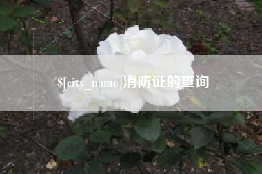 无锡消防证的查询