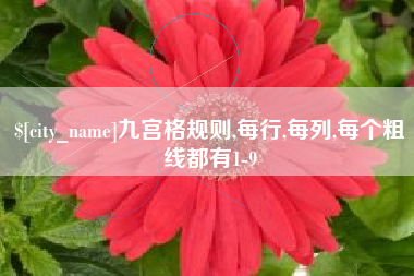 无锡九宫格规则,每行,每列,每个粗线都有1-9