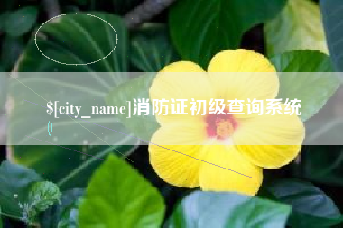无锡消防证初级查询系统
