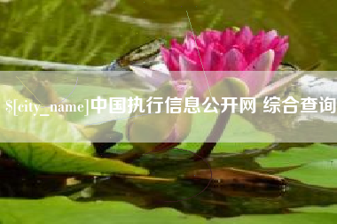 无锡中国执行信息公开网 综合查询