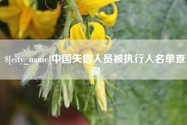 无锡中国失信人员被执行人名单查询