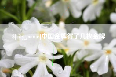 无锡中国金牌得了几枚金牌