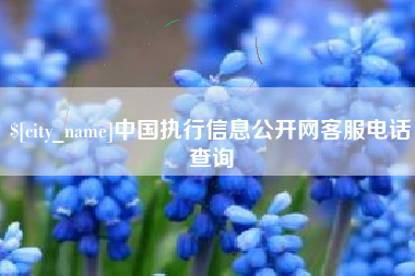 无锡中国执行信息公开网客服电话查询