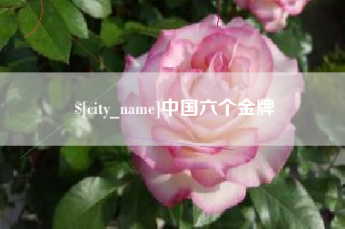 无锡中国六个金牌