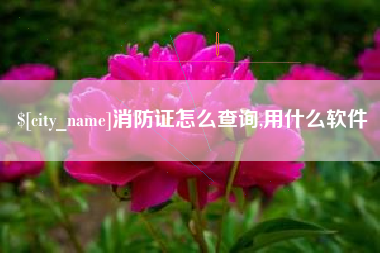 无锡消防证怎么查询,用什么软件