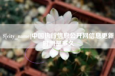 无锡中国执行信息公开网信息更新时间是多久