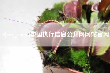 无锡中国执行信息公开网网站官网