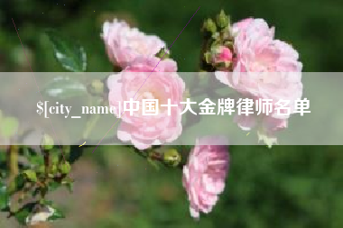 无锡中国十大金牌律师名单