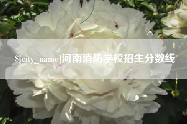 无锡河南消防学校招生分数线