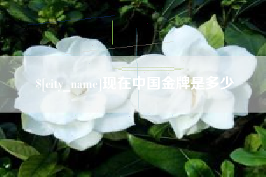 无锡现在中国金牌是多少