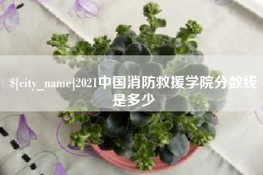无锡2021中国消防救援学院分数线是多少