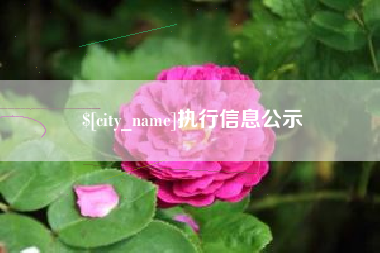 无锡执行信息公示