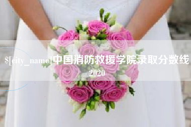 无锡中国消防救援学院录取分数线2020